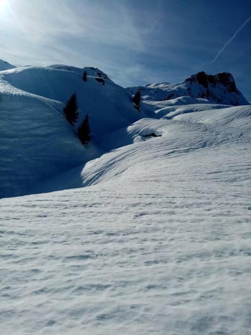 ארשה L'Appartement Les Bossons En Lisiere De Foret Dans Le Chalet Genepi מראה חיצוני תמונה